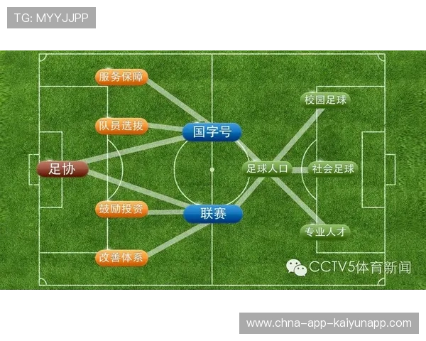中国足球专家解读最新政策，2021年中国足球新政策