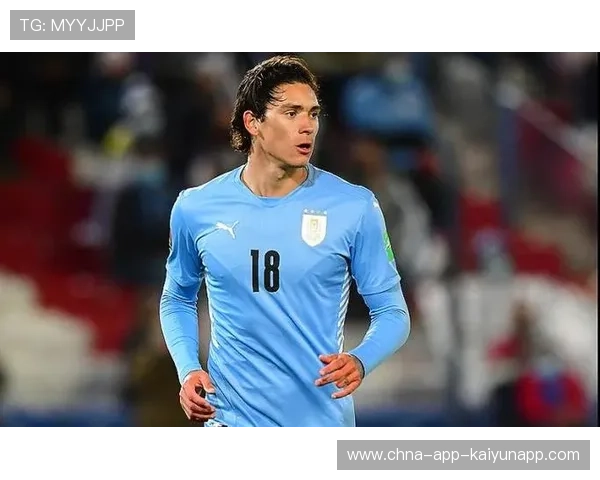 努涅斯加盟穆里尼奥传闻升温,帕切科发声助推,努涅斯集锦 努涅斯加盟穆里尼奥传闻升温,帕切科发声助推,努涅斯集锦