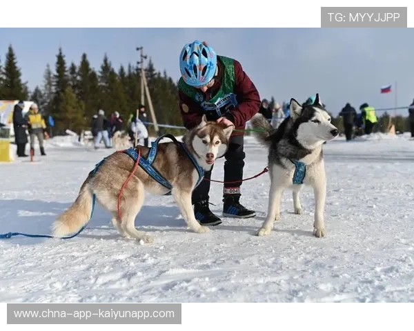 雪橇锦标：俄罗斯队冲击金牌，突破纪录在即！，俄罗斯的雪橇